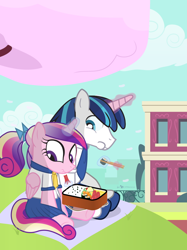 Size: 840x1125 | Tagged: safe, artist:dm29, princess cadance, shining armor, alicorn, pony, unicorn, bento, duo, sushi