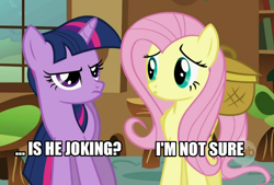 Size: 650x440 | Tagged: safe, derpibooru import, fluttershy, twilight sparkle, pegasus, pony, image macro, reaction image