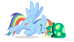 Size: 1050x600 | Tagged: safe, artist:dm29, rainbow dash, tank, pegasus, pony, duo, pushing, simple background, transparent background, vector