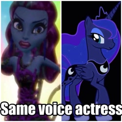 Size: 1280x1280 | Tagged: source needed, useless source url, safe, princess luna, alicorn, pony, critical research failure, exploitable meme, meme, monster high, posea reef, same voice actor, telling lies, wrong