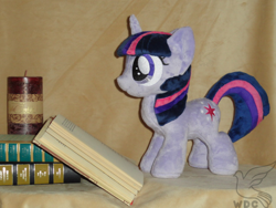 Size: 640x480 | Tagged: safe, artist:whitedove-creations, derpibooru import, twilight sparkle, book, filly, irl, photo, plushie, solo