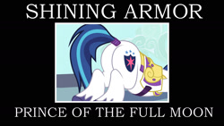 Size: 2000x1125 | Tagged: artist needed, safe, artist:mlp-silver-quill, shining armor, pony, unicorn, armor, butt, male, mooning, motivational poster, plot, prince shining armor, shieldbutt, solo, stallion, tail wrap, text