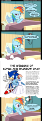 Size: 485x1400 | Tagged: source needed, safe, artist:veggie55, edit, rainbow dash, pegasus, pony, comic, crack shipping, crossover, crossover shipping, female, male, nightmare, nightmare meme, screencap comic, shipping, sonic the hedgehog, sonic the hedgehog (series), sonicdash, straight