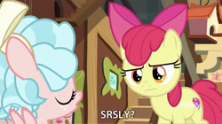 Size: 2880x1610 | Tagged: safe, edit, edited screencap, screencap, apple bloom, cozy glow, earth pony, pegasus, pony, marks for effort, duo, female, filly, fluttershy's cottage (interior), meme, seriously