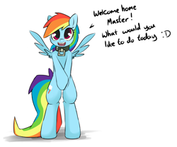 Size: 1012x840 | Tagged: dead source, safe, artist:grumblepluck, rainbow dash, pegasus, pony, semi-anthro, :d, bipedal, collar, cute, dialogue, female, femsub, happy, looking at you, master, open mouth, pet, pet-dash, pet-dash tumblr, smiling, speech, spread wings, standing, submissive