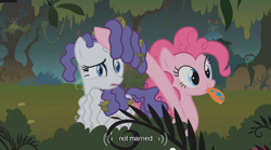 Size: 640x355 | Tagged: safe, screencap, pinkie pie, rarity, earth pony, pony, unicorn, everfree forest, hairity, spitty pie, youtube caption