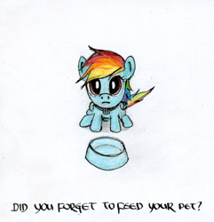 Size: 500x518 | Tagged: safe, artist:el-yeguero, rainbow dash, pegasus, pony, bowl, feeding, food bowl, hungry, looking at you, looking up, pet, solo