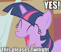 Size: 302x258 | Tagged: safe, derpibooru import, twilight sparkle, happy, image macro, pleased