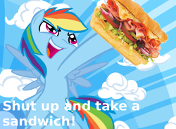 Size: 875x643 | Tagged: safe, edit, rainbow dash, pegasus, pony, food, image macro, not porn, sandwich, sandwich censorship