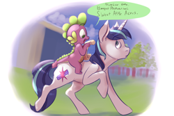 Size: 1280x854 | Tagged: safe, artist:imsokyo, shining armor, spike, dragon, pony, unicorn, alternate universe, checklist, daily life of spike, riding, tumblr