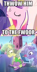 Size: 737x1436 | Tagged: safe, edit, edited screencap, screencap, princess cadance, spike, alicorn, dragon, pony, equestria games (episode), games ponies play, amethyst stone, armor, crystal guard, crystal guard armor, image macro, impact font, lisp, meme, monty python, monty python's life of brian