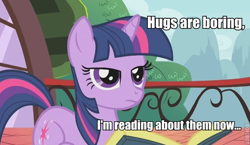 Size: 600x348 | Tagged: safe, derpibooru import, twilight sparkle, caption, hug, image macro, reaction image