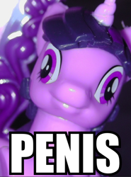 Size: 444x600 | Tagged: safe, derpibooru import, twilight sparkle, image macro, reaction image, vulgar, wat