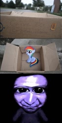 Size: 502x1000 | Tagged: safe, rainbow dash, pegasus, pony, fanfic:my little dashie, ao-oni, dashie meme, evil people finding dash meme, exploitable meme, imminent rape, meme