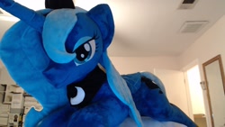 Size: 1920x1080 | Tagged: safe, artist:agatrix, princess luna, irl, life size, photo, plushie, s1 luna, solo