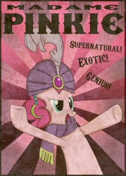 Size: 2000x2800 | Tagged: safe, artist:frostmusic, pinkie pie, earth pony, pony, high res, poster, romani