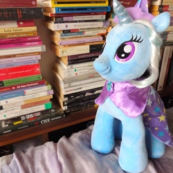 Size: 864x864 | Tagged: safe, derpibooru import, trixie, pony, book, photo, plushie, solo