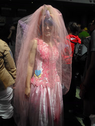 Size: 2448x3264 | Tagged: safe, artist:daughter-of-wolves, princess cadance, human, 2014, convention, cosplay, irl, irl human, megacon, photo, solo, veil