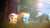 Size: 900x506 | Tagged: safe, artist:illu-mint, fluttershy, rainbow dash, pegasus, pony, 3d, gmod, lens flare