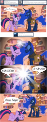 Size: 1000x2586 | Tagged: safe, artist:flash equestria photography, princess luna, twilight sparkle, twilight sparkle (alicorn), alicorn, pony, cloak, clothes, comic, female, glowing horn, hunted luna, magic, mare, saddle bag