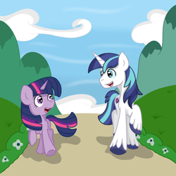 Size: 3000x3000 | Tagged: safe, artist:bigmackintosh, shining armor, twilight sparkle, pony, unicorn, bbbff, colt, filly