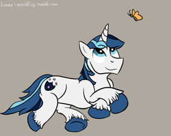 Size: 1024x815 | Tagged: safe, shining armor, butterfly, pony, unicorn, horn, male, two toned mane, two toned tail, white coat