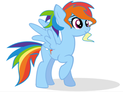 Size: 646x481 | Tagged: safe, artist:selecteddash, rainbow dash, pegasus, pony, alternate hairstyle, simple background, vector, white background