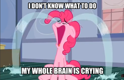 Size: 491x316 | Tagged: safe, pinkie pie, earth pony, pony, crying, image macro, ocular gushers, reaction image