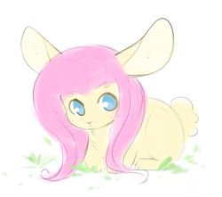 Size: 703x622 | Tagged: safe, artist:pegacornss, derpibooru import, fluttershy, rabbit, :<, bunnified, bunnyshy, cute, female, large ears, looking at you, prone, solo, species swap, weapons-grade cute