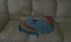 Size: 3646x2173 | Tagged: safe, artist:segagenesis4100, rainbow dash, pony, high res, irl, photo, ponies in real life, sleeping, sofa, vector