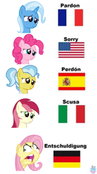 Size: 1637x2919 | Tagged: safe, artist:rainbow eevee, derpibooru import, doctor fauna, fluttershy, pinkie pie, roseluck, trixie, earth pony, pegasus, pony, american flag, angry, background pony, cute, derp, differenze linguistiche, english, faic, flag, flutterrage, foreign language, france, french, german, germany, italian, italy, meme, obligatory pony, ponified meme, rage, rage face, simple background, sorry, spain, spanish, united states, white background
