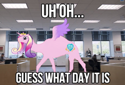 Size: 540x370 | Tagged: safe, edit, princess cadance, camel, alicamel, geico, hump day, image macro, insurance, meme, solo, species swap