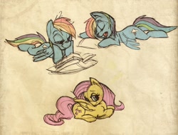 Size: 1314x991 | Tagged: safe, artist:enolianslave, fluttershy, rainbow dash, pegasus, pony, book, reading, sleeping