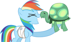 Size: 7955x4672 | Tagged: safe, artist:choopy, rainbow dash, tank, pegasus, pony, absurd resolution, bandage, simple background, transparent background, vector