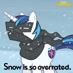Size: 550x550 | Tagged: safe, shining armor, pony, unicorn, discovery family, discovery family logo, official, text, truth