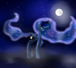 Size: 1000x900 | Tagged: safe, artist:mlplover2206, princess luna, alicorn, pony, fluffy, moon, night, solo