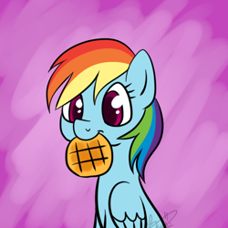 Size: 500x500 | Tagged: dead source, safe, artist:maplesunrise, rainbow dash, pegasus, pony, food, mouth hold, solo, waffle