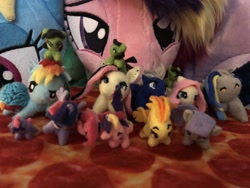 Size: 2048x1536 | Tagged: safe, derpibooru import, photographer:aphinity, fluttershy, rainbow dash, spitfire, trixie, twilight sparkle, twilight sparkle (alicorn), alicorn, bronycon, chibi, collection, irl, photo, plushie