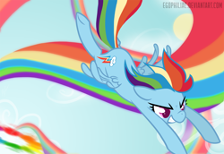 Size: 1800x1238 | Tagged: safe, artist:egophiliac, rainbow dash, pegasus, pony, blue coat, female, flying, mare, multicolored mane, rainbow trail, solo