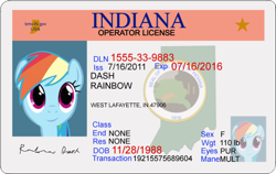 Size: 466x294 | Tagged: safe, artist:totallynotabronyfim, rainbow dash, pegasus, pony, blue coat, female, id card, license, mare, multicolored mane, solo