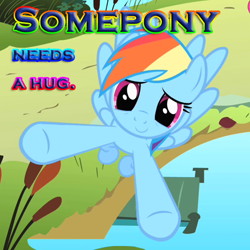 Size: 510x510 | Tagged: safe, rainbow dash, pegasus, pony, caption, hug, image macro, reaction image