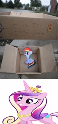 Size: 1320x2796 | Tagged: safe, princess cadance, alicorn, pony, dashie meme, exploitable meme, good people finding dash meme, meme