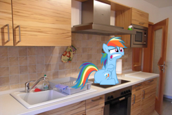 Size: 1302x874 | Tagged: safe, rainbow dash, pony, irl, kitchen, photo, ponies in real life, vector