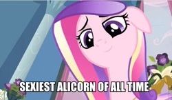 Size: 599x348 | Tagged: safe, edit, edited screencap, screencap, princess cadance, alicorn, pony, caption, image macro, lidded eyes, meme, sexiest pony alive, solo, text