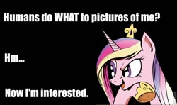 Size: 660x390 | Tagged: safe, idw, princess cadance, alicorn, pony, deeply intrigued cadance, humans do what, image macro, meme, pro-clop, solo