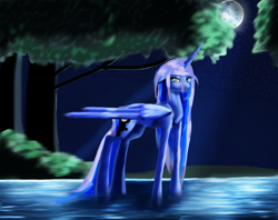 Size: 1024x812 | Tagged: safe, artist:aliceandamy, princess luna, alicorn, pony, crepuscular rays, moon, night, solo, tree, water