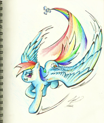 Size: 900x1060 | Tagged: safe, artist:blabyloo229, rainbow dash, pegasus, pony, female, flying, looking at you, mare, rainbow trail, signature, smiling, solo, traditional art