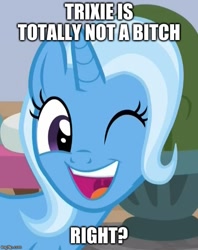 Size: 500x630 | Tagged: safe, derpibooru import, edit, edited screencap, screencap, trixie, pony, unicorn, a horse shoe-in, bitch, caption, cropped, female, image macro, mare, meme, one eye closed, reaction image, smiling, solo, text, trixie yells at everything, vulgar, wink