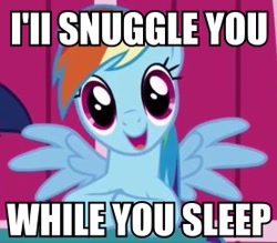 Size: 277x243 | Tagged: safe, rainbow dash, pegasus, pony, blue coat, female, image macro, imma snuggle you, mare, multicolored mane, snuggling, solo