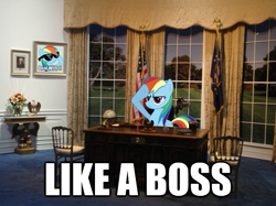 Size: 625x468 | Tagged: safe, artist:the average brony, rainbow dash, pony, crossing the memes, deal with it, exploitable meme, image macro, irl, like a boss, memeception, oval office, photo, ponies in real life, president, president dash, sunglasses, vector